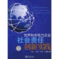 世界知名电力企业社会责任创新实践
