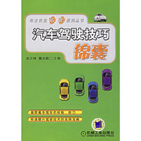 汽车驾驶技巧锦囊/车主实用锦囊系列丛书