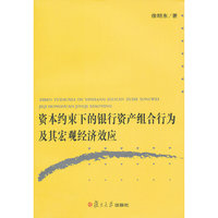 资本约束下的银行资产组合行为及其宏观经济效应