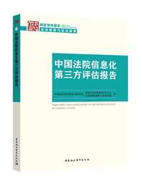 中国法院信息化第三方评估报告