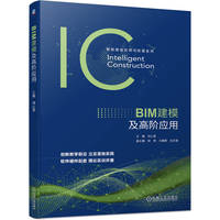 BIM建模及高阶应用  刘心男