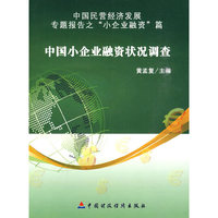 中国小企业融资状况调查