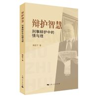 辩护智慧