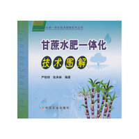 甘蔗水肥一体化技术图解