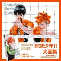 排球少年！！COMPLETE ILLUSTRATION BOOK 结束与开始：大开本日本漫画原画集 简体中文版 收录连载时期大量彩页、海报、杂志封面及单人插图