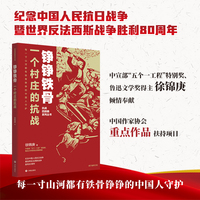 铮铮铁骨 抗战四部曲系列丛书 一个村庄的抗战