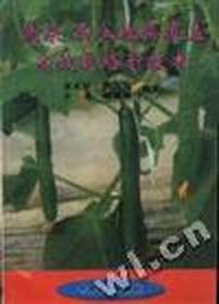 蔬菜西瓜地膜覆盖高效栽培新技术