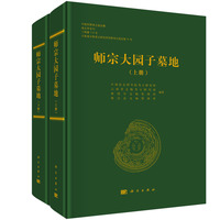 师宗大园子墓地