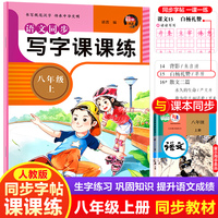 语文同步写字课课练4印章   八年级上册