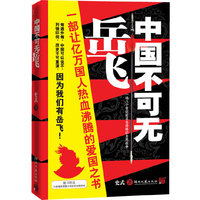 中国不可无岳飞