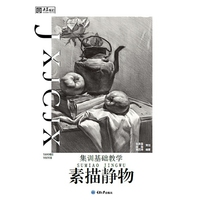 集训基础教学·素描静物