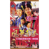 风筝奇缘上部20碟装(VCD)