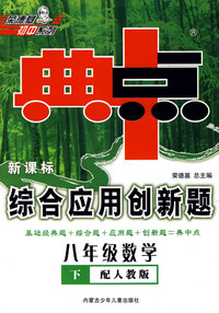 典中点新课标综合应用创新题：八年级数学下（配人教版）