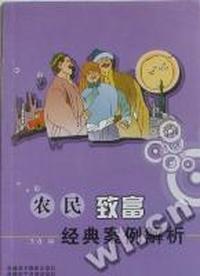 农民致富经典案例解析