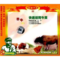 养牛3：快速培育牛黄（VCD）