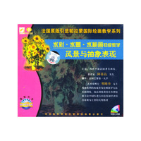 水彩 水墨 水粉画初级教学风景与抽象表现二片装(VCD)