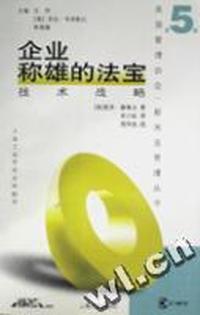 企业称雄的法宝 - - 技术战略