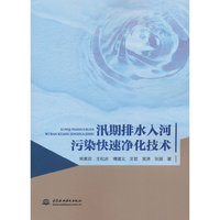汛期排水入河污染快速净化技术