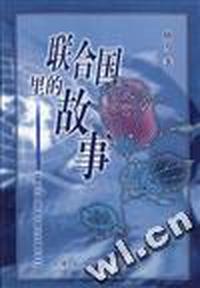 联合国里的故事