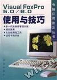 Visual FoxPro 5.0/6.0使用与技巧