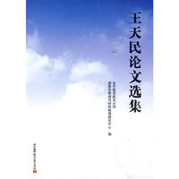 王天民论文选集