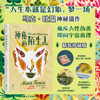 神秘的陌生人（插图珍藏版）