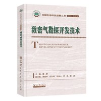 致密气勘探开发技术