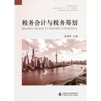 税务会计与税务筹划