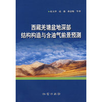 西藏羌塘盆地深部结构构造与含油气前景预测