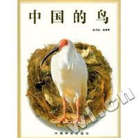 中国的鸟