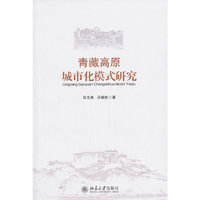 青藏高原城市化模式研究