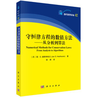 守恒律方程的数值方法：从分析到算法