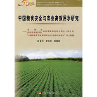 中国粮食安全与农业高效用水研究