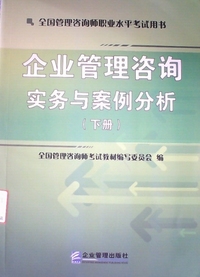 企业管理咨询实务与案例分析(下册)