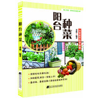 阳台种菜-从育苗开始学种菜