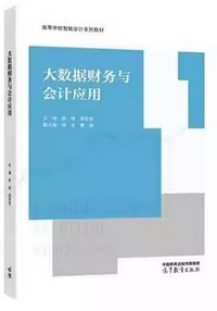 大数据财务与会计应用