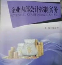 企业内部会计控制实务