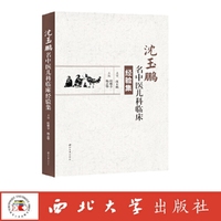 沈玉鹏名中医儿科临床经验集
