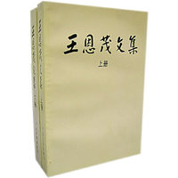 王恩茂文集(上下册)