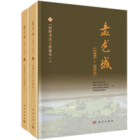 盘龙城（1995~2019）（一）：田野考古工作报告（上、下册）
