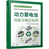 动力蓄电池回收与梯次利用   严坤 彭涛 陈立立  梯次利用 AI+新能源汽车