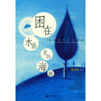 困在水晶里的海豚