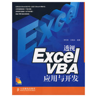 透视Excel VBA应用与开发（附光盘）