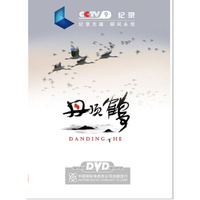 丹顶鹤