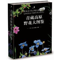 青藏高原野花大图鉴（精装）