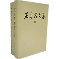 王恩茂文集((上下册)