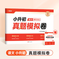 小升初名校冲刺卷语文小升初真题卷人教版小学升初中分班测试卷小学六年级升学总复习真题卷考试卷子