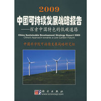 2009中国可持续发展战略报告