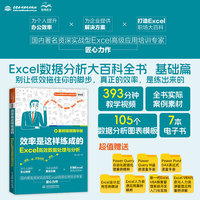 效率是这样练成的：Excel高效数据处理与分析 案例视频精华版 Excel数据分析 Excel高效技巧 高效数据处理 函数公式优化 效率提升方法