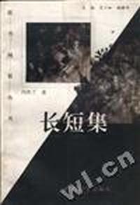 长短集